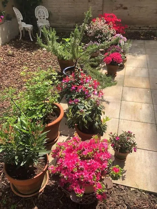Gartenwohnung In Haidhausen Munich Germany